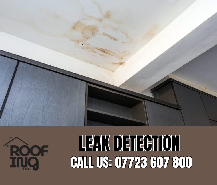 Roof Leak Detection in Looe