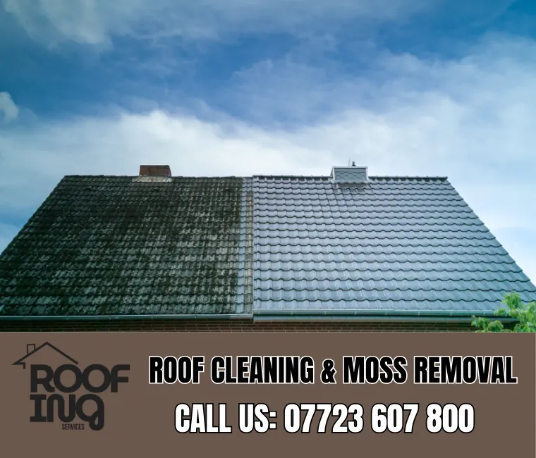 Roof Cleaning in Looe